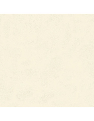 Century Calcio 60 X 60 R